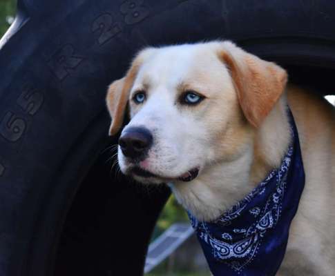 Lieblingsbild :D-Beitrag-Bild