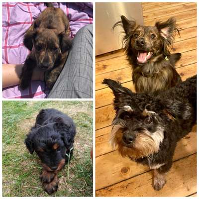 Vorher.... Nachher-Beitrag-Bild