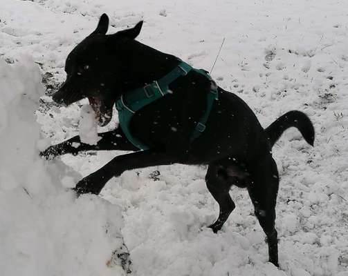 Challenge Nr. 15
Spiel im Schnee-Beitrag-Bild