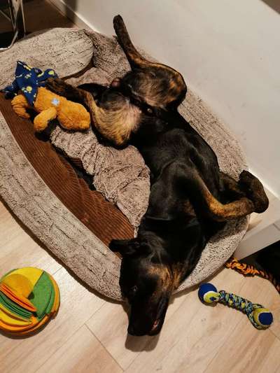 Fotochallenge Nr.65-Beitrag-Bild