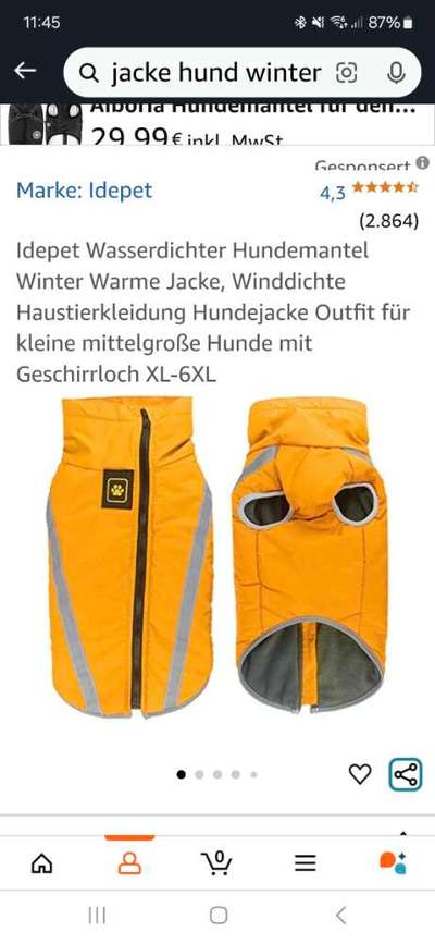 Pullover ohne Pfoten durchziehen-Beitrag-Bild