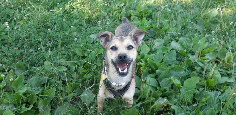 Lieblings Schnappschuss?-Beitrag-Bild