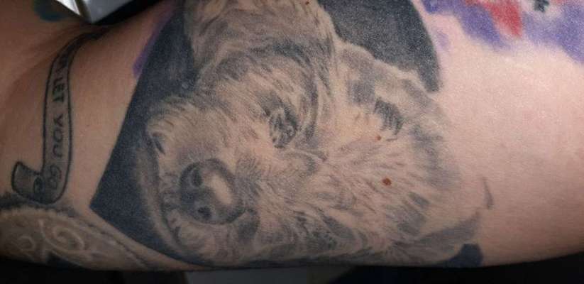 Erinnerungs Tattoos-Beitrag-Bild