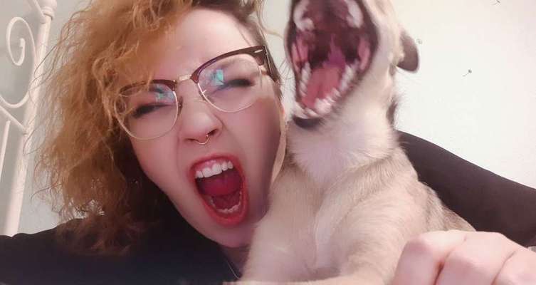 Lieblings Schnappschuss?-Beitrag-Bild