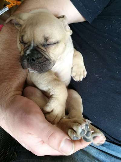 Das erste Foto-Beitrag-Bild