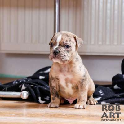 Das erste Foto-Beitrag-Bild