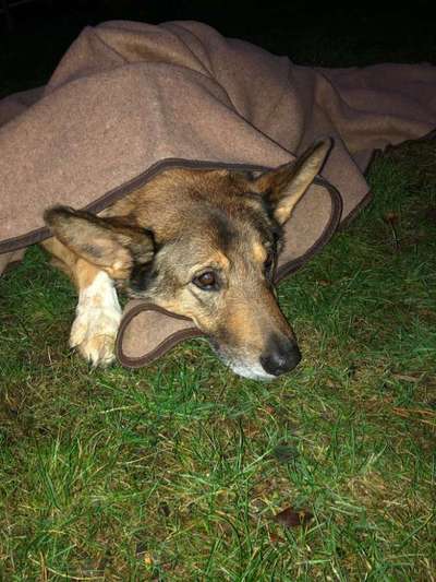 Fotochallenge Nr. 67: Euer Lieblingsbild-Beitrag-Bild