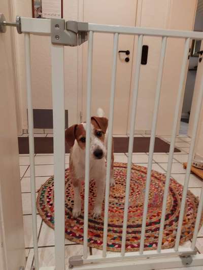 Moviestar-Pics!-Beitrag-Bild