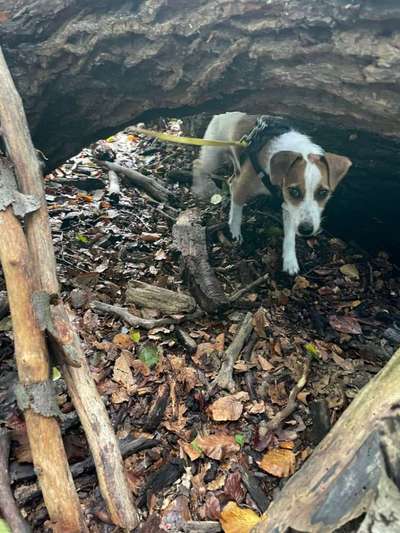 Dogorama Photo Challenge- Höhlen/Tunnel-Beitrag-Bild