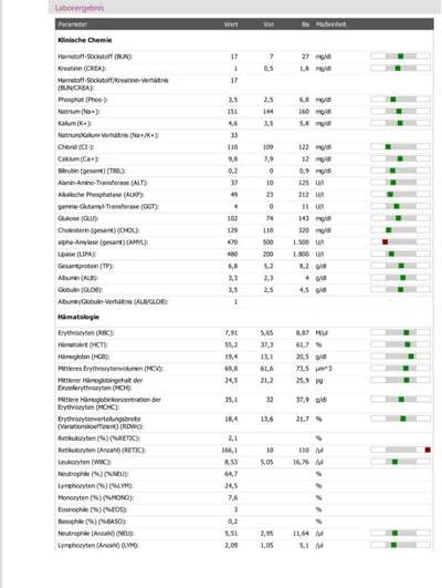 Chronische gastritis durch IGOR o. IBD-Beitrag-Bild