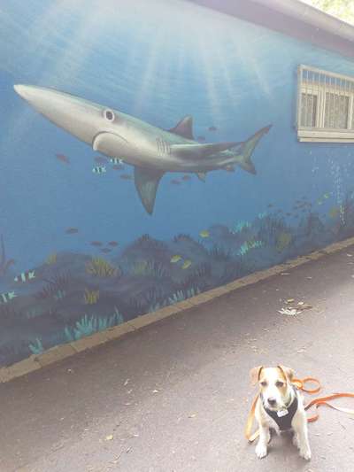 Moviestar-Pics!-Beitrag-Bild