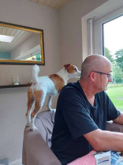 Hundmenschfotos-Beitrag-Bild