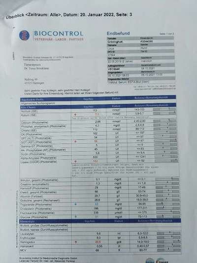 Chronische gastritis durch IGOR o. IBD-Beitrag-Bild