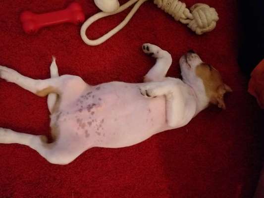 Fotochallenge Nr.65-Beitrag-Bild