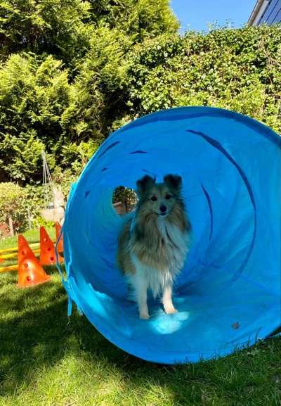 Dogorama Photo Challenge- Höhlen/Tunnel-Beitrag-Bild