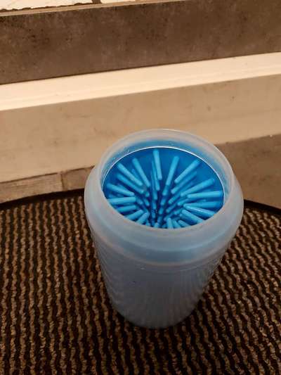 Hundesachen von Temu-Beitrag-Bild