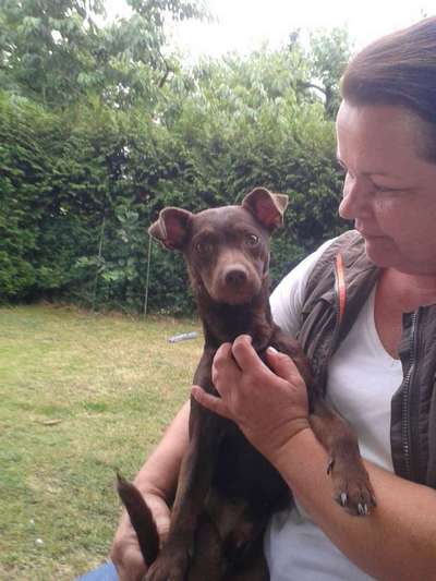 Bright side of life! Schönwetter-Thread-Beitrag-Bild