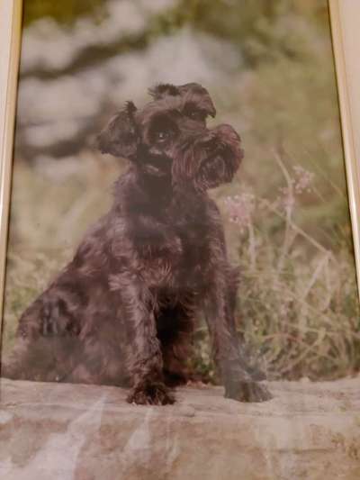 Heimliche Freuden-Beitrag-Bild