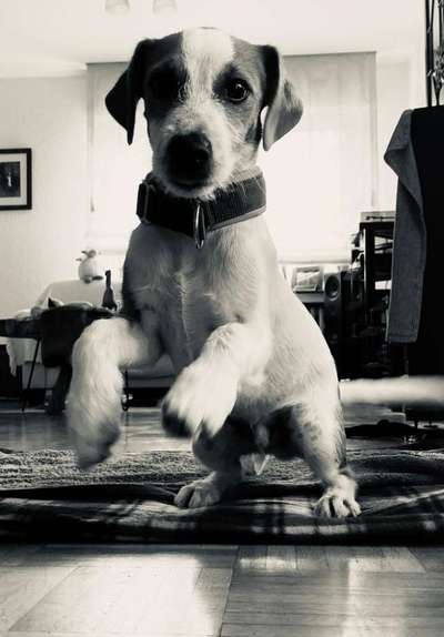 Foto-Challenge 76: Foto in Schwarz-Weiss-Beitrag-Bild