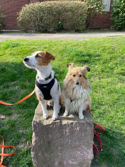 Foto-Challange No.1 - Alles aber nicht die Kamera-Beitrag-Bild