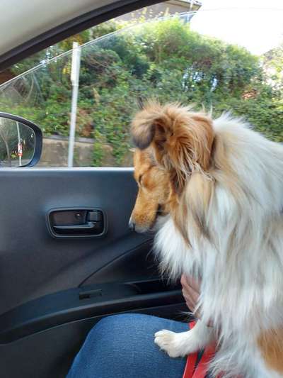 Moviestar-Pics!-Beitrag-Bild