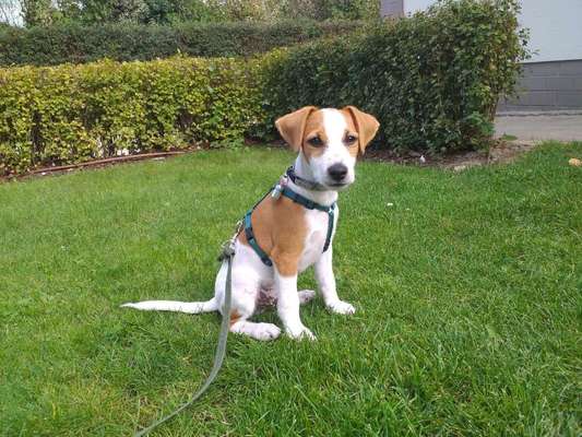 Ach, wie schnell die Zeit vergeht-Beitrag-Bild