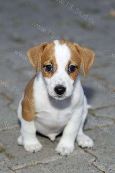 Ach, wie schnell die Zeit vergeht-Beitrag-Bild