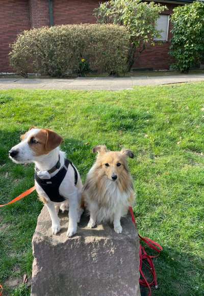 Dogorama Photo Challenge - Gegensätze-Beitrag-Bild