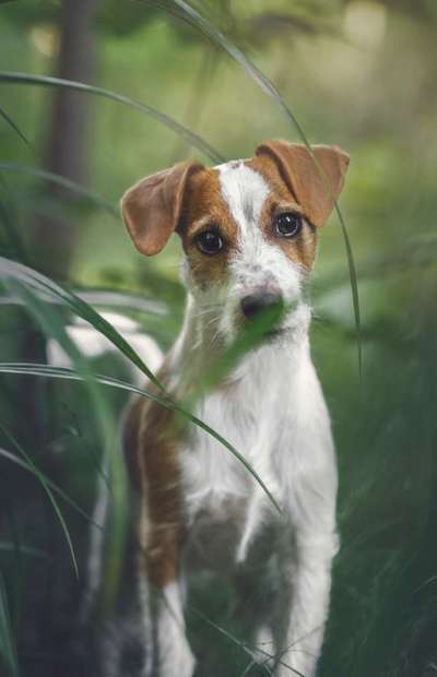 Doppelgänger gesucht !-Beitrag-Bild