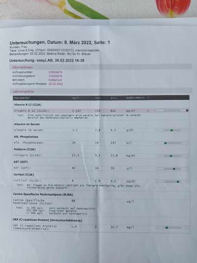 Chronische gastritis durch IGOR o. IBD-Beitrag-Bild