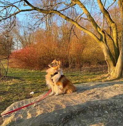 Moviestar-Pics!-Beitrag-Bild