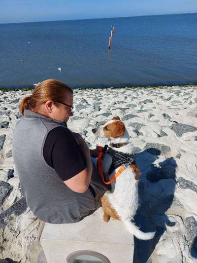 Dogorama Photo Challenge - Tierischer Urlaub-Beitrag-Bild