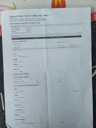 Chronische gastritis durch IGOR o. IBD-Beitrag-Bild