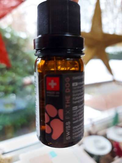 CBD und co Wirkstoff für Hund-Beitrag-Bild