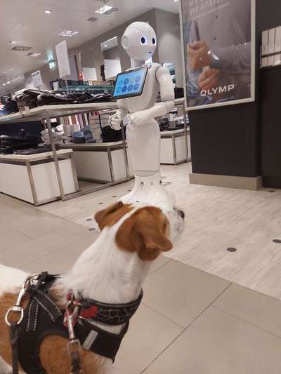 Moviestar-Pics!-Beitrag-Bild