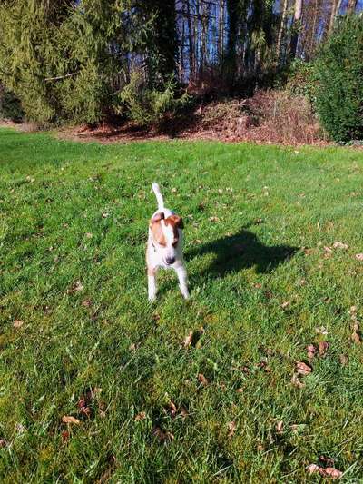 "Die eingefangene Magie des Augenblicks"-Beitrag-Bild