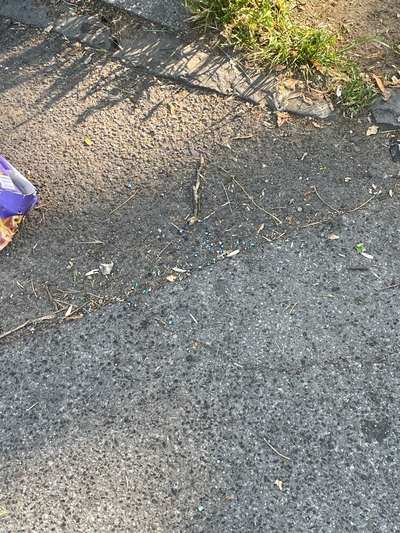 Giftköder-Eventuell schneckenkorn!!!-Bild