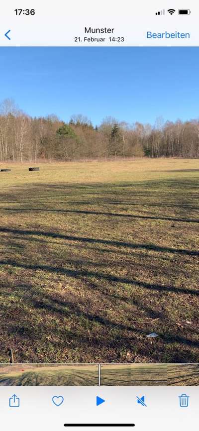 Hundeauslaufgebiet-Am Hollmoor-Bild