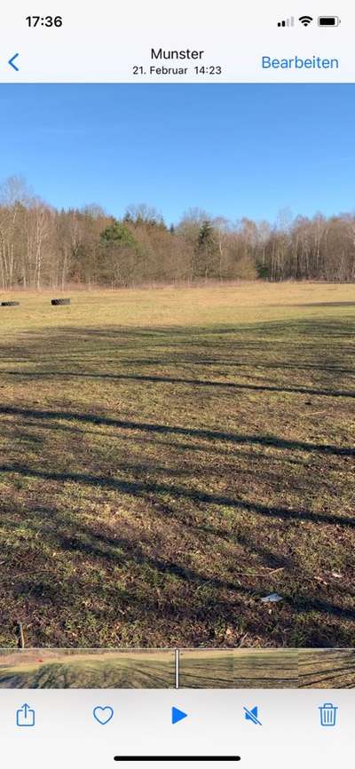 Hundeauslaufgebiet-Hollmoorring-Bild