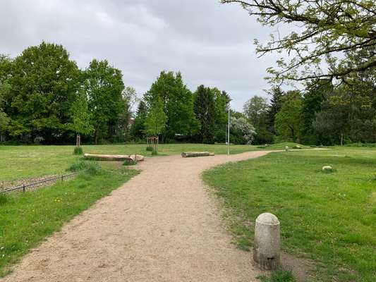 Hundeauslaufgebiet-Parkplatz Grün-Bild