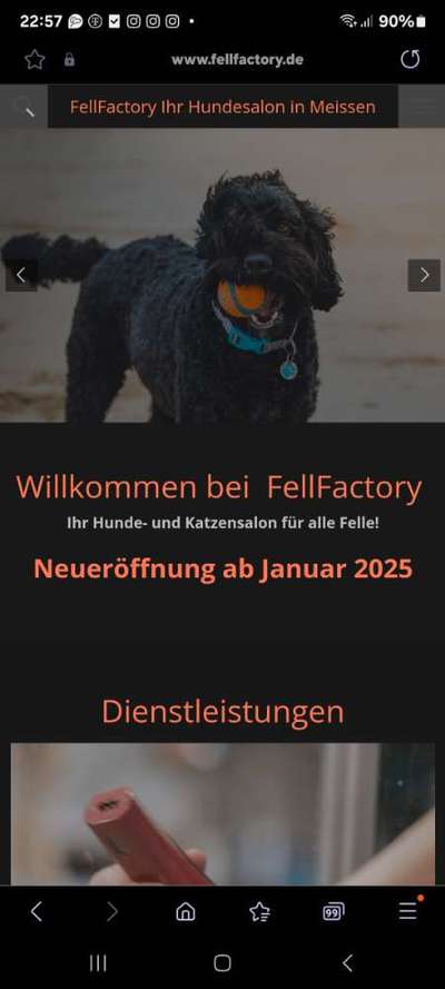 Hundefriseure-Hundesalon FellFactory Meißen-Bild