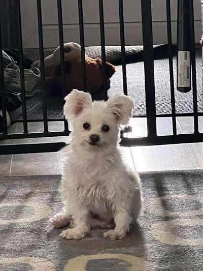 Urlaub in Spanien oder Italien-Beitrag-Bild