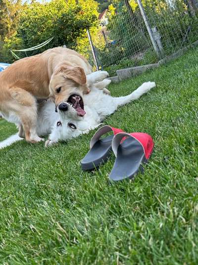 Urlaub in Spanien oder Italien-Beitrag-Bild