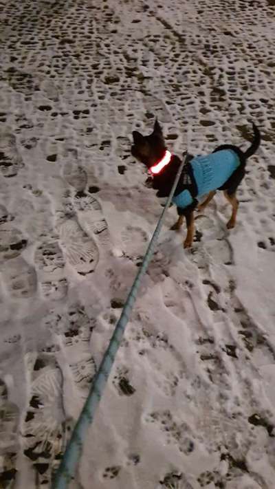 14. Farbenfoto-Challenge "Weiss"-Beitrag-Bild