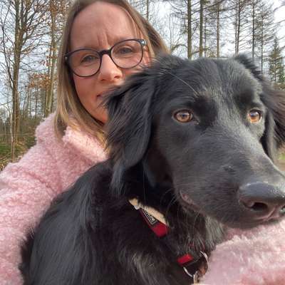 Hundetreffen-Treffen zur Gassirunde-Profilbild