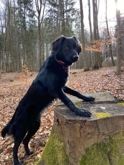 Klischeedenken einiger Menschen-Beitrag-Bild