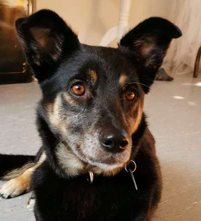 Fotochallange Nr. 57     PORTRÄT.   Beendet!!!!!!!!-Beitrag-Bild