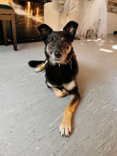 Lieblingsbild-Beitrag-Bild