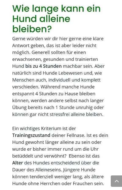 Wie oft gassi?-Beitrag-Bild