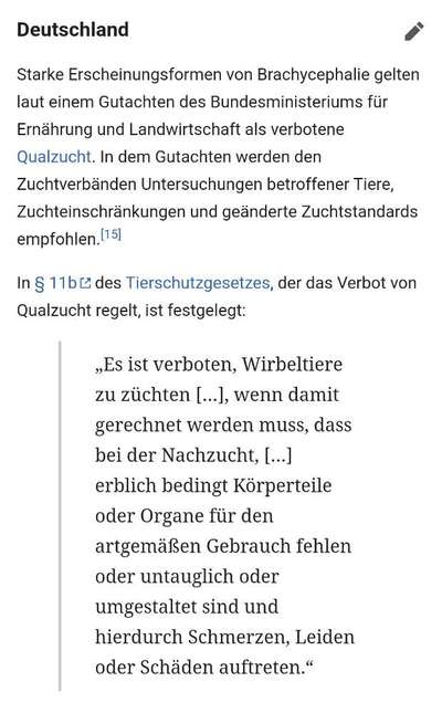 Brachycephale Hunderassen-Beitrag-Bild